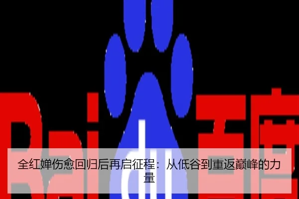 全红婵伤愈回归后再启征程：从低谷到重返巅峰的力量