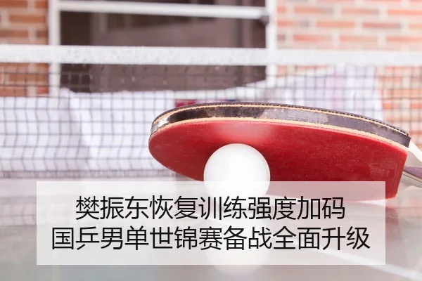 樊振东恢复训练强度加码 国乒男单世锦赛备战全面升级
